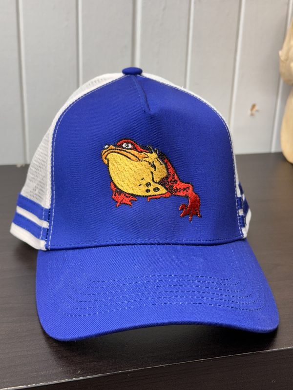 Magic Toad Embroidered Cap - Image 2